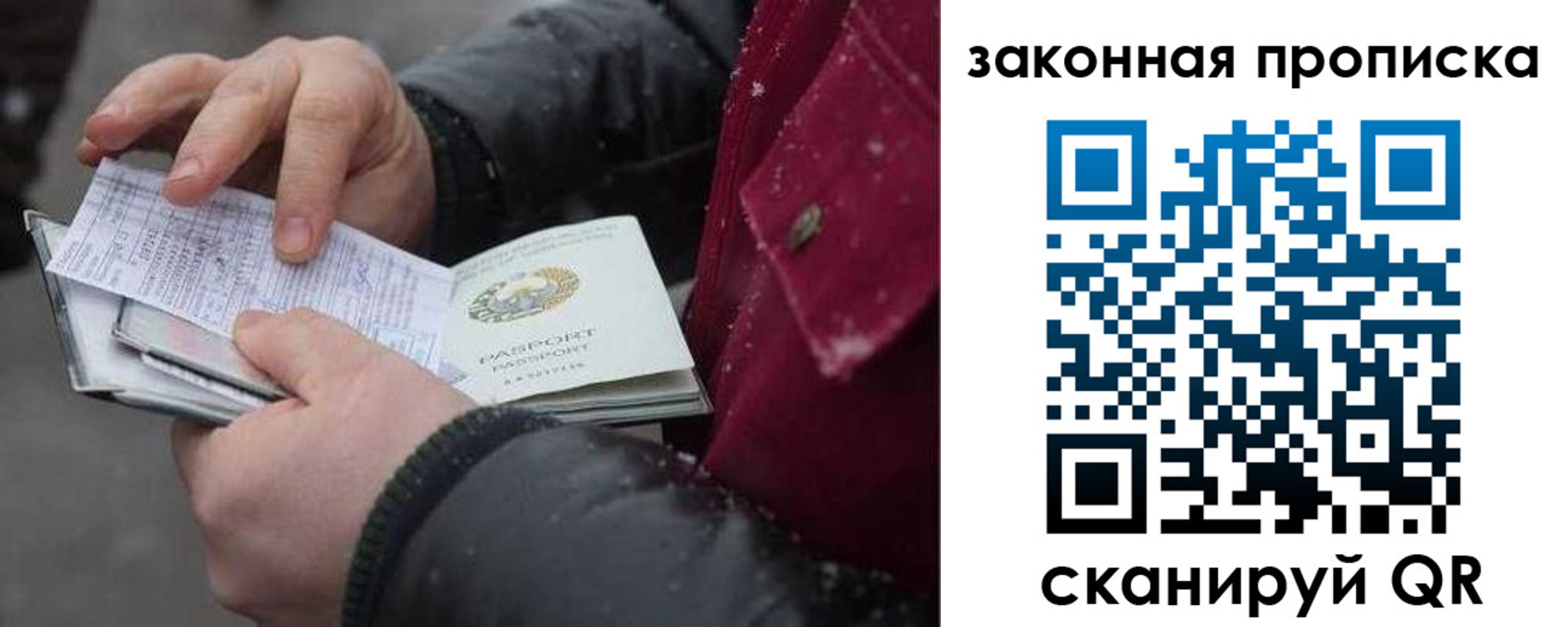 прописка поиск в Кохме